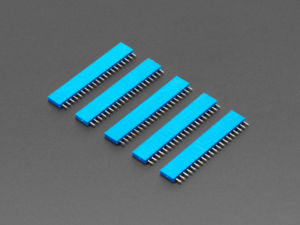 20-pin 0.1" Female Header - Blue - 5 pack