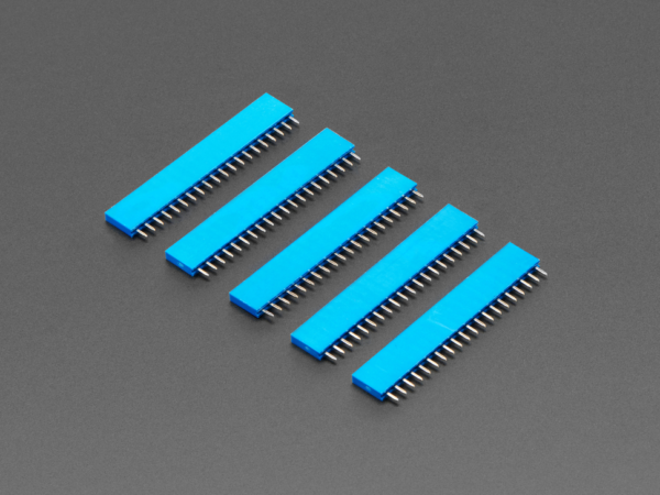 20-pin 0.1" Female Header - Blue - 5 pack