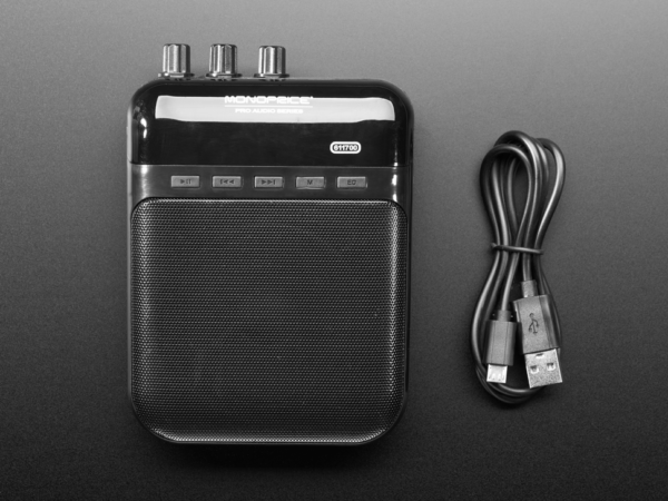4402-11.jpg Monoprice 5-Watt Guitar Amplifier, Portable Recorder - with SD, USB and 3.5mm Audio